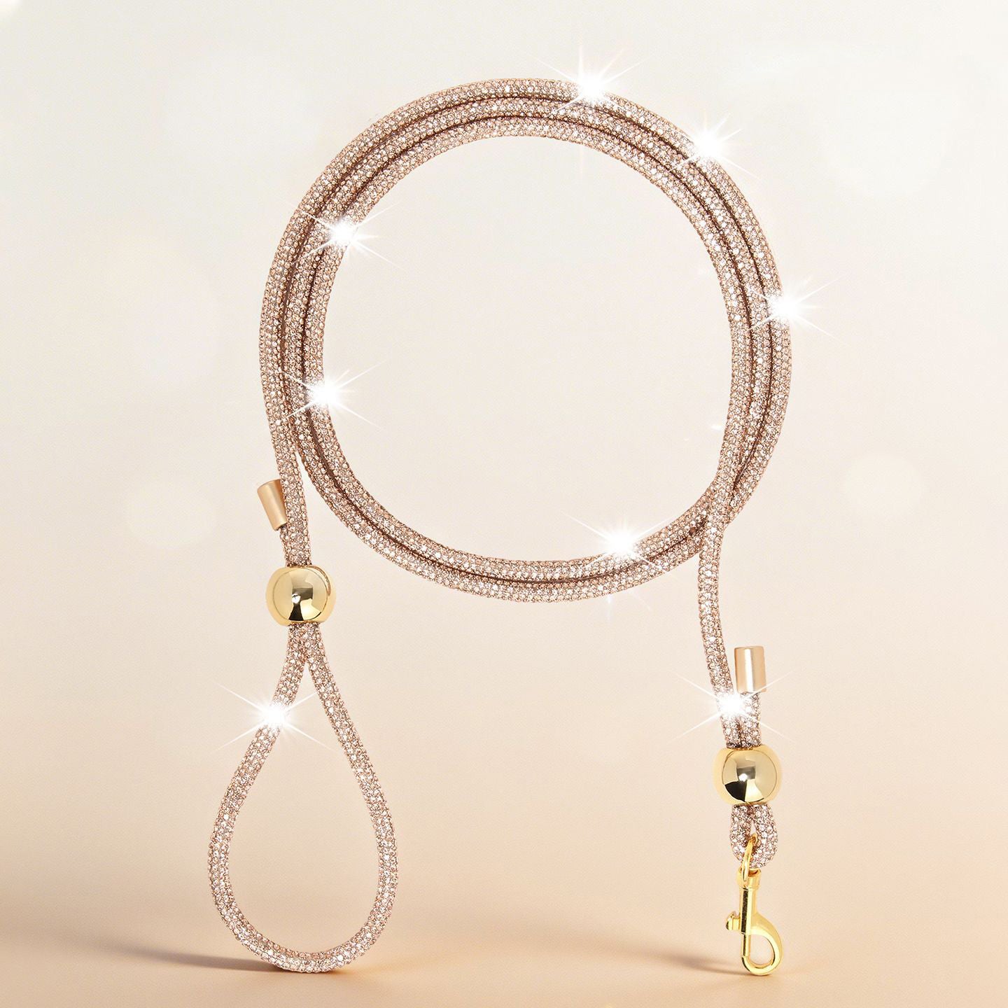 Pet outdoor towing rope